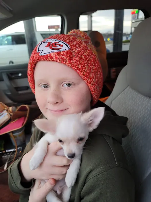 Blumhorst Thomas DVM Picture 1