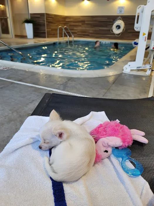 Blumhorst Thomas DVM Picture 2