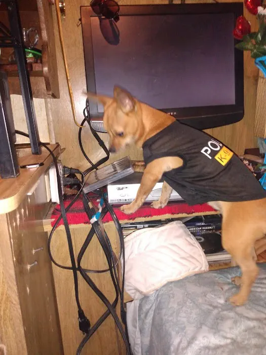 Butler Animal Clinic Inc Picture 1