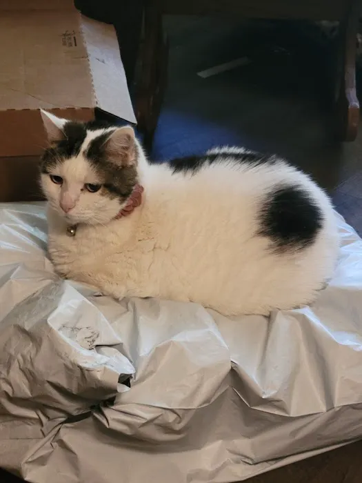 Butler Animal Clinic Inc Picture 3