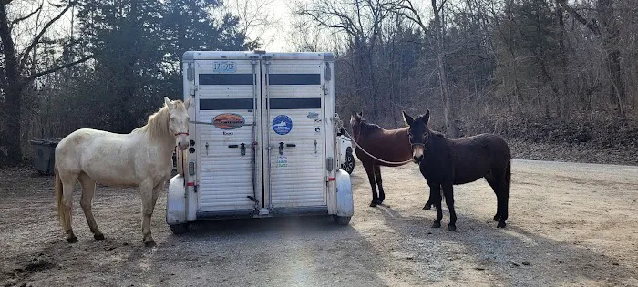 Osceola Veterinary Clinic Picture 1