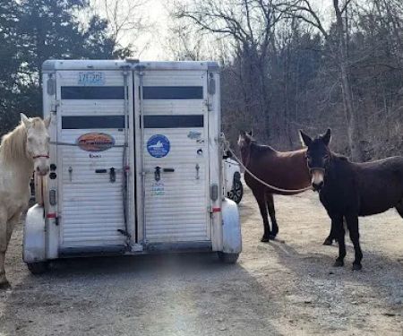 Osceola Veterinary Clinic