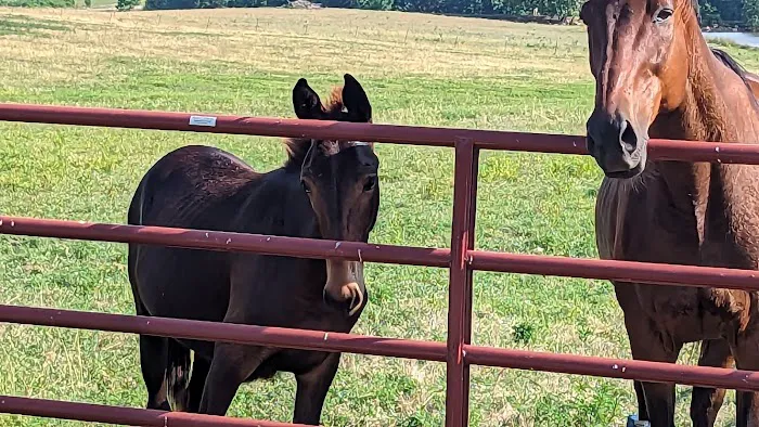 Osceola Veterinary Clinic Picture 3