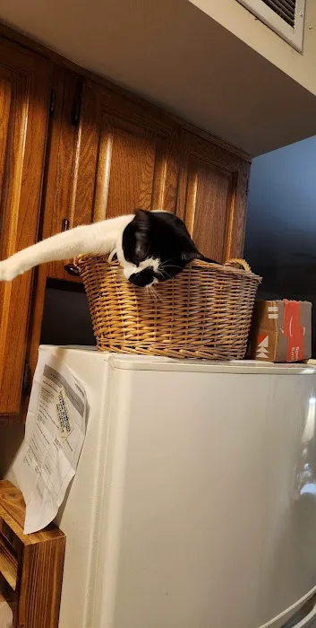 Osceola Veterinary Clinic Picture 2