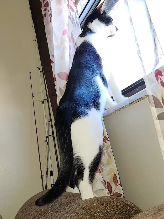 Osceola Veterinary Clinic Picture 4