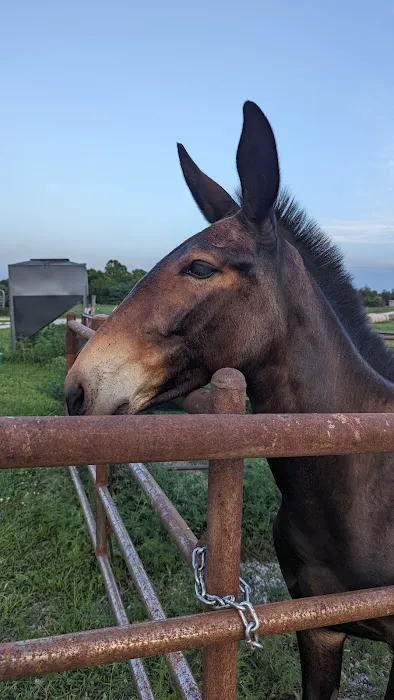 Osceola Veterinary Clinic Picture 5
