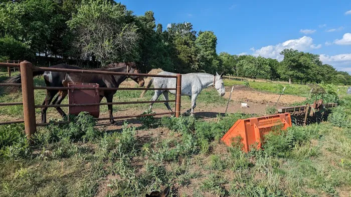 Osceola Veterinary Clinic Picture 7