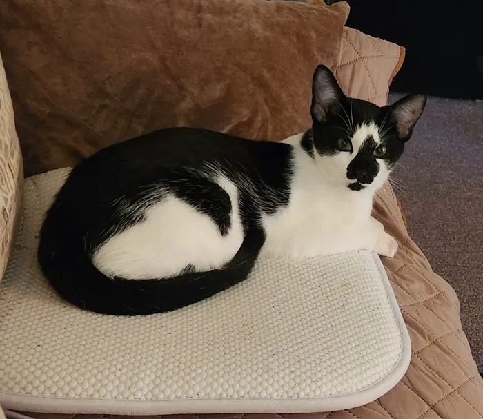 Osceola Veterinary Clinic Picture 8