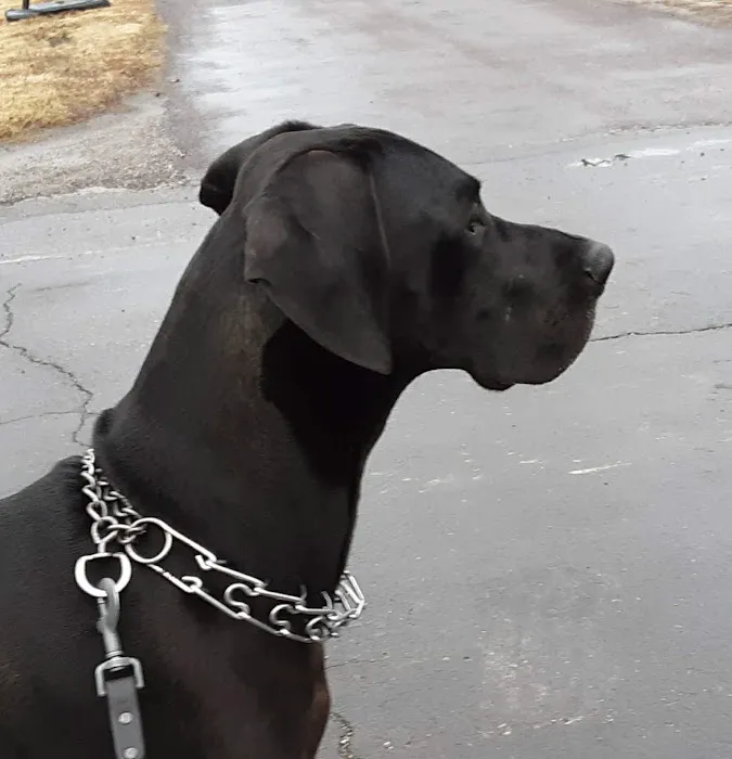 Osceola Veterinary Clinic Picture 10