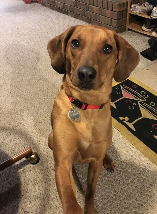 Osceola Veterinary Clinic Picture 9