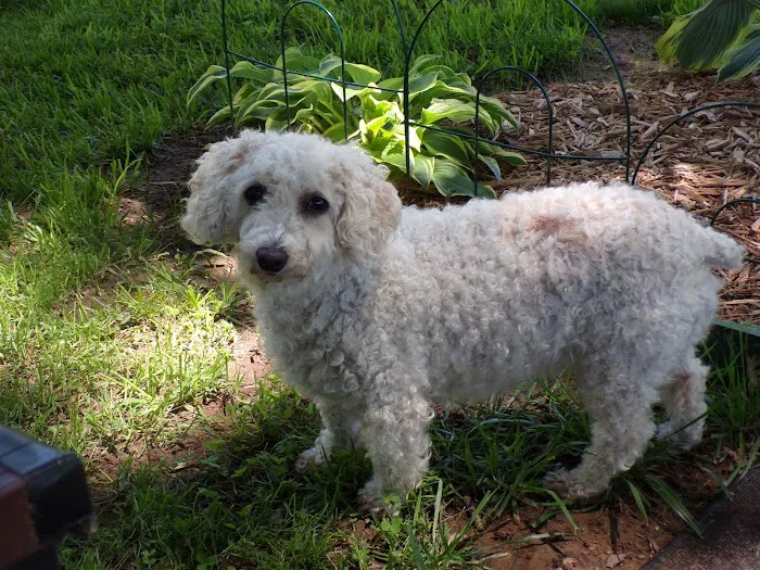 Bates County Veterinary Clinic Picture 3