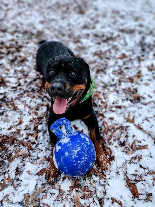 Bates County Veterinary Clinic Picture 2