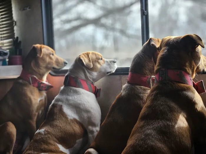 Bates County Veterinary Clinic Picture 1