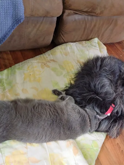 Bates County Veterinary Clinic Picture 4