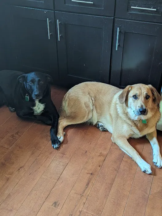 Bates County Veterinary Clinic Picture 6