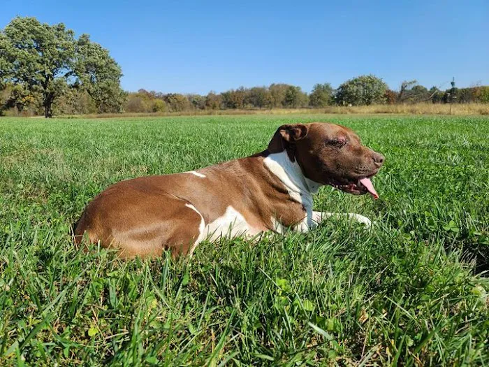 Bates County Veterinary Clinic Picture 5