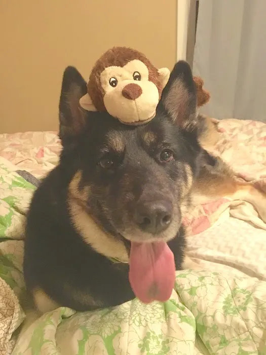 Bates County Veterinary Clinic Picture 10