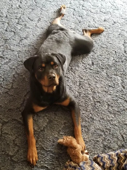 Bates County Veterinary Clinic Picture 7