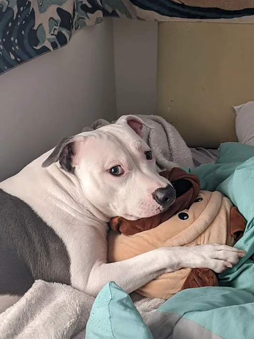 Southland Animal Hospital Picture 2