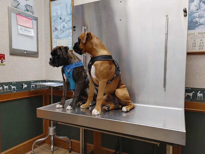 Southland Animal Hospital Picture 3