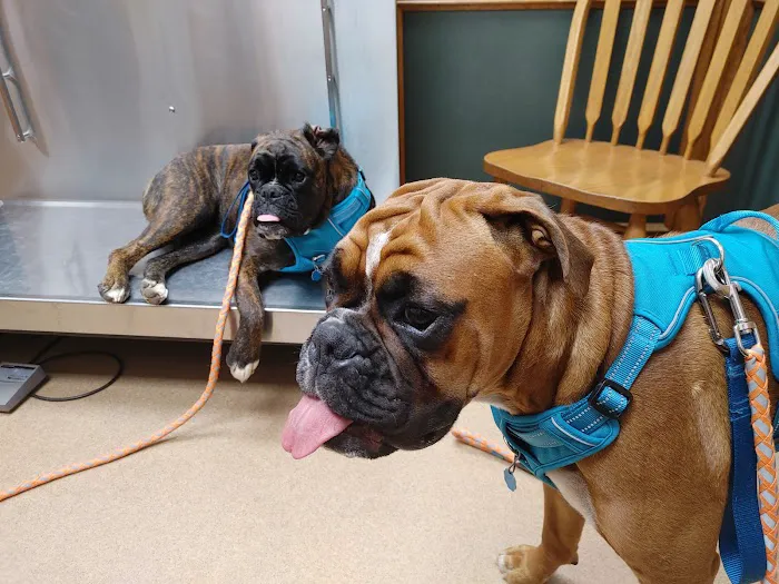 Southland Animal Hospital Picture 1