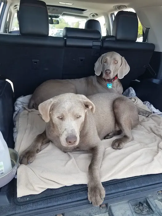 Southland Animal Hospital Picture 4