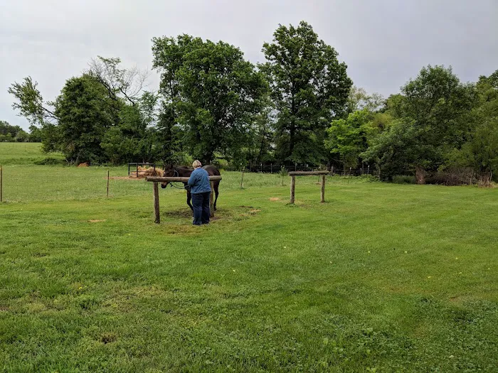 Cook Veterinary Services Picture 5