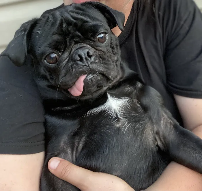 Kling Veterinary Clinic Picture 2