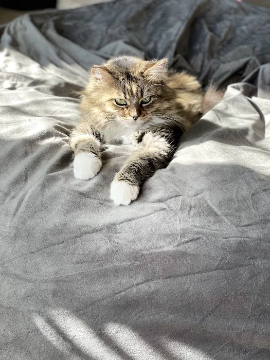 Kling Veterinary Clinic Picture 3