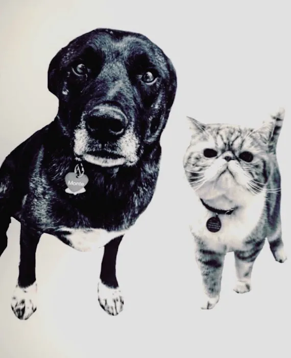 Kling Veterinary Clinic Picture 1