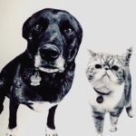 Kling Veterinary Clinic