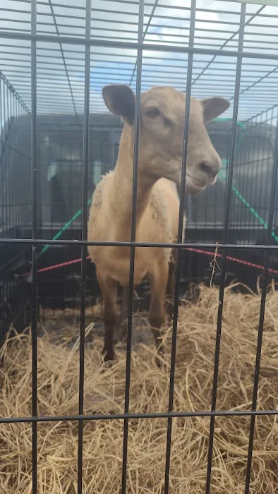 Kling Veterinary Clinic Picture 5