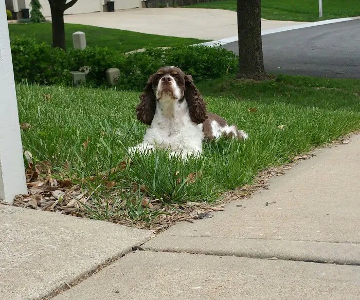 Kling Veterinary Clinic Picture 8