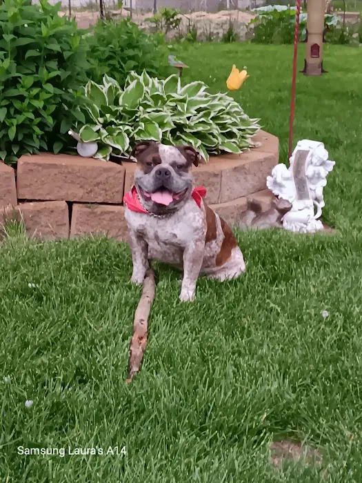 Beaver Creek Veterinary Services PC Picture 1