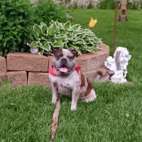 Beaver Creek Veterinary Services PC ico