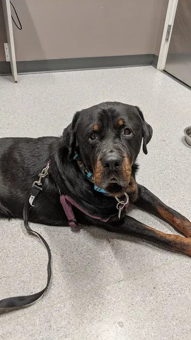 Aid Animal Hospital Picture 1