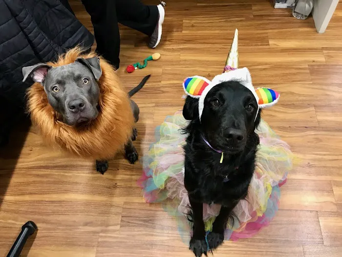 Aid Animal Hospital Picture 2