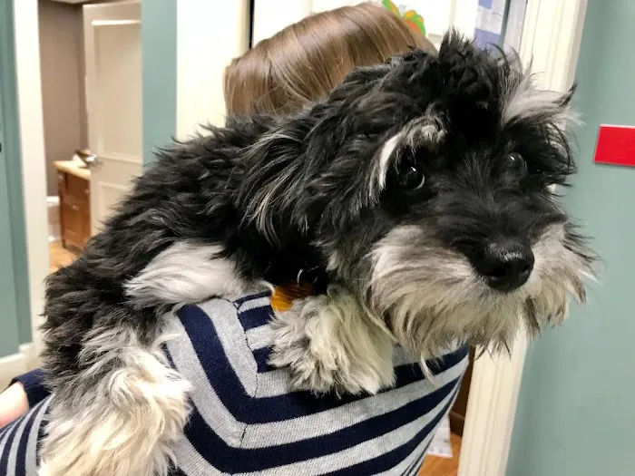 Aid Animal Hospital Picture 5