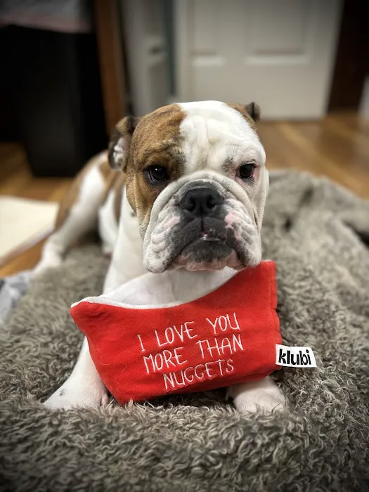 Aid Animal Hospital Picture 8