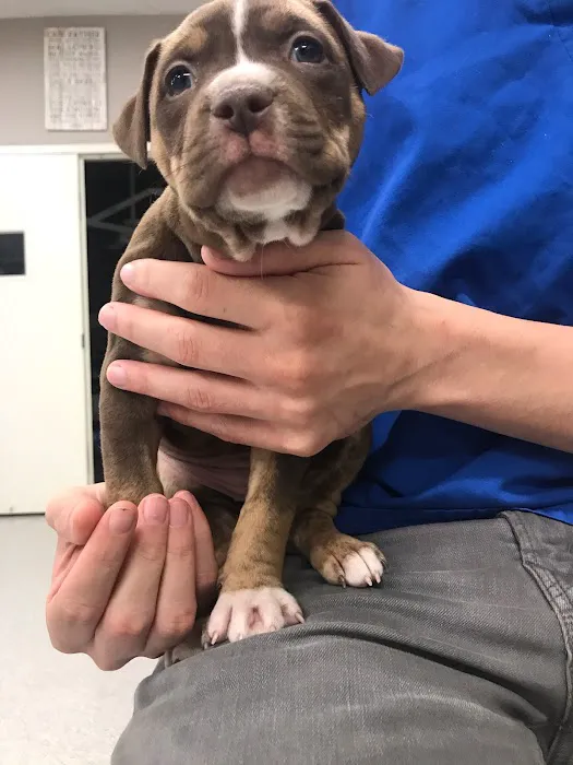 Aid Animal Hospital Picture 7