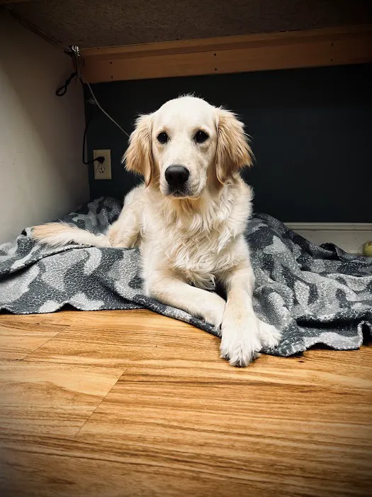 Aid Animal Hospital Picture 10