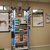 Brookside Animal Clinic ico