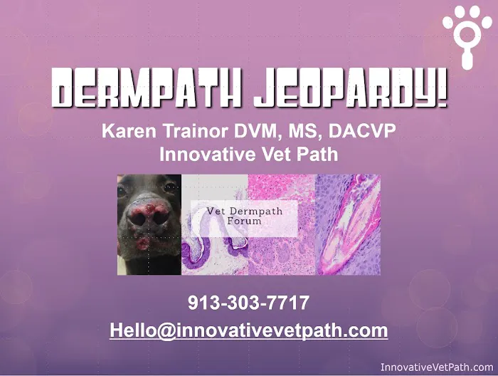 Innovative Vet Path Picture 1