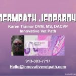 Innovative Vet Path