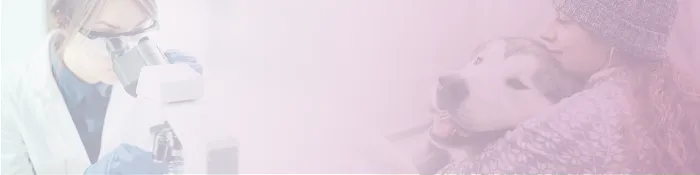 Innovative Vet Path Picture 3