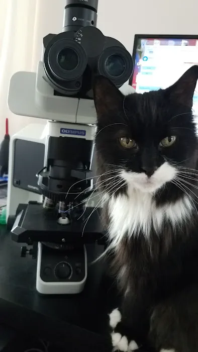 Innovative Vet Path Picture 2