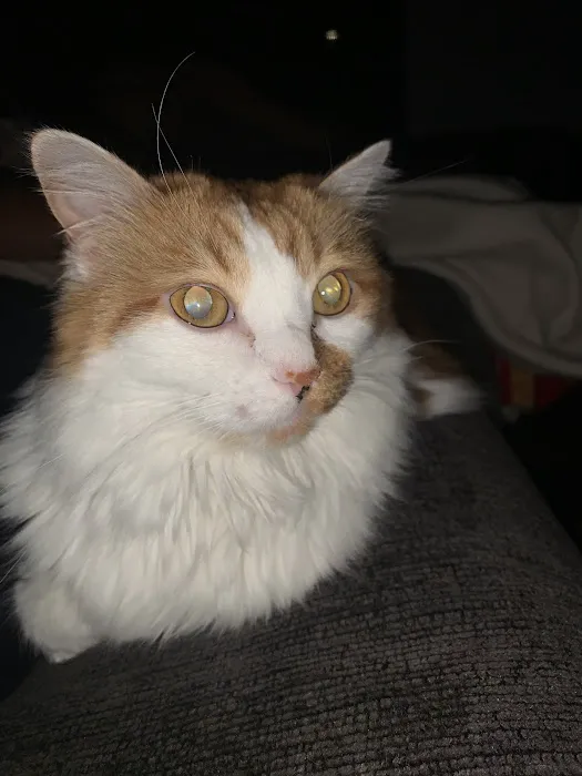 Banfield Pet Hospital Picture 1