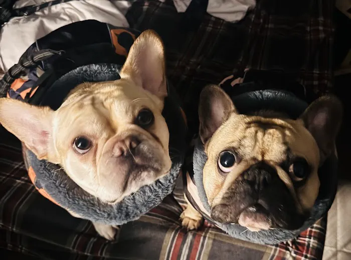 Banfield Pet Hospital Picture 2