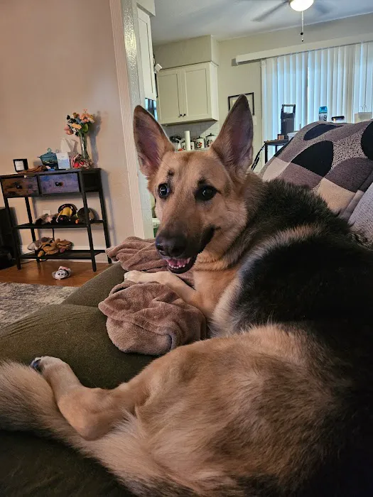 Banfield Pet Hospital Picture 7