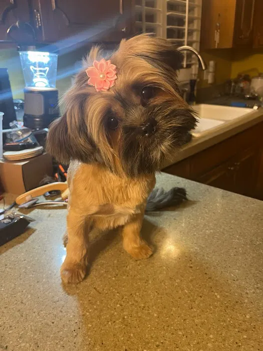 Banfield Pet Hospital Picture 8